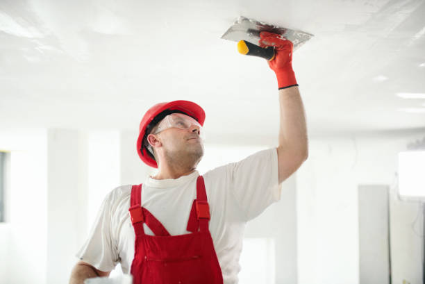  Fennville, MI Dry wall and painting Pros